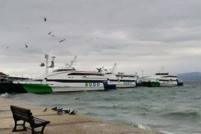 Bursa ile İstanbul arasındaki deniz otobüsü seferlerinde yeni iptaller var!