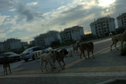 Bursa'nın o mahallesinde 