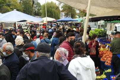 Havaların ısınmasıyla artış yaşandı! Salgın hastalıklara yol açabilir