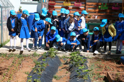 Türkiye'nin agro kütüphanesi ödül için ilk 5'te yer aldı