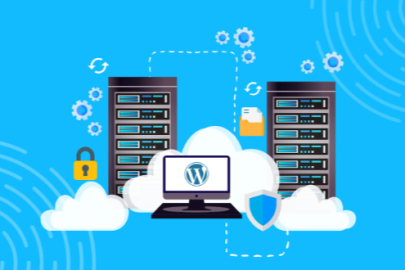 Wordpress Hosting ile Wordpress siteler daha mı hızlı ve güvenli?