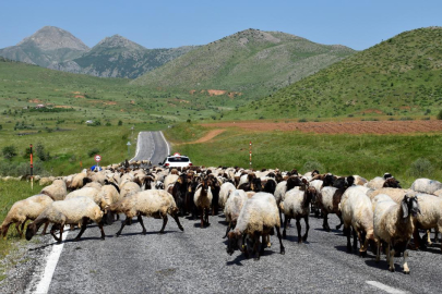 Göçerler yaylaların yolunu tutuyor