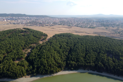 Edirne'de ormanlara girişler yasaklandı