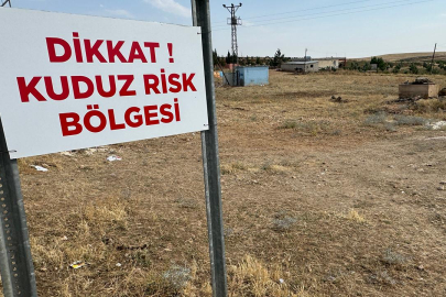 Şanlıurfa'da kuduz karantinası