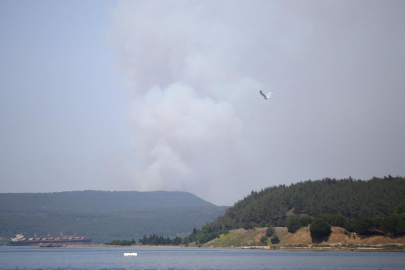 Çanakkale'de orman yangını