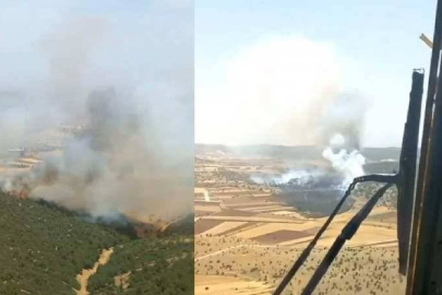 Manisa'da orman yangını çıktı