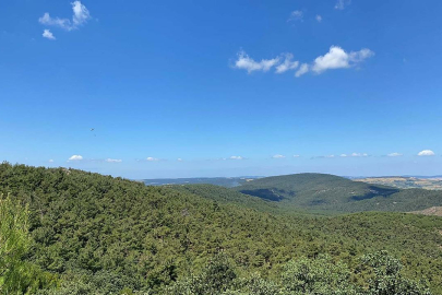 Çanakkale'de orman yangını