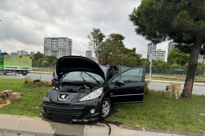 Islak yolda kayan otomobil kaza yaptı: 3 yaralı