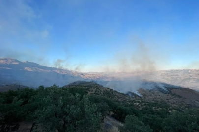 Adıyaman’da yangın: Müdahale geceden beri sürüyor