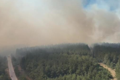 Bursa’da çıkan orman yangınıyla ilgili Cumhuriyet Başsavcılığı soruşturma başlattı