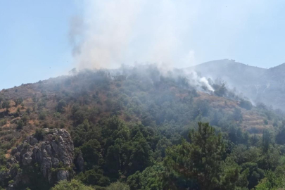 Mersin'de orman yangını