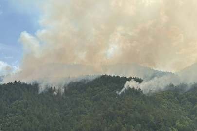 Kastamonu'da çıkan orman yangını üçüncü gününde kontrol altına alındı