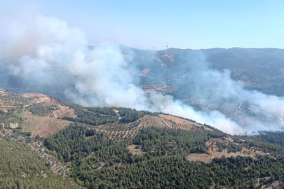 Hatay ve Denizli'de orman yangını