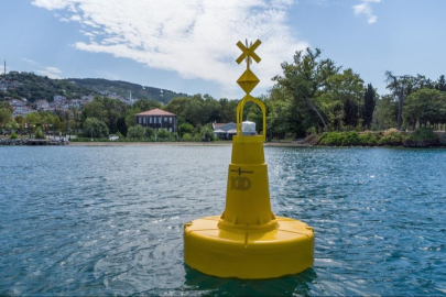 Marmara'daki deniz çayırları şamandıralarla korunacak