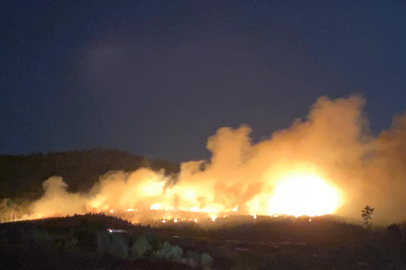 Çanakkale Ayvacık’ta orman yangını