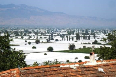 Manisa Sarıgöl'ün yeşil ovası beyaza büründü