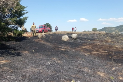 Bursa'da anız yangını söndürüldü