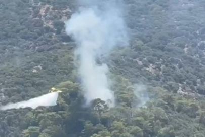 Muğla'da iki ayrı noktada orman yangını!