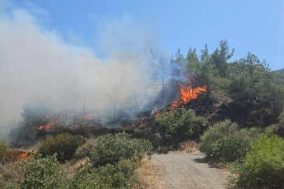 Antalya ve Hatay’da orman yangını