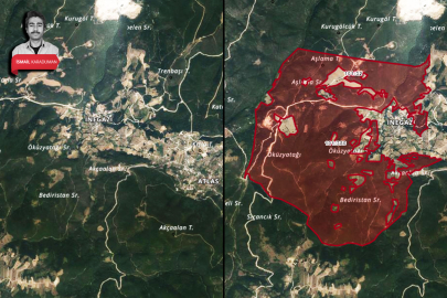 Bursa'da maden ocağı "dev ormanı" yutacak: Resmen başvuru yapıldı!
