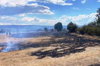 Kütahya'da anız yangını