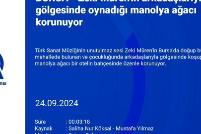 Zeki Müren'in Bursa'da arkadaşlarıyla gölgesinde oynadığı manolya ağacı korunuyor