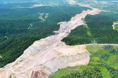 Ormanlar için yeni tehlike: Maden şirketlerine üretim tesisi izni!