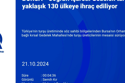 Coğrafi işaretli Bursa Gedelek turşusu yaklaşık 130 ülkeye ihraç ediliyor