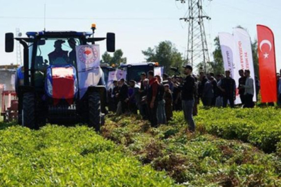 Yer fıstığı hasadına başlandı