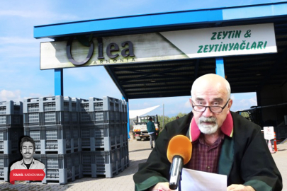 Avukat Çiçek'ten Bursa'daki o zeytinyağı fabrikası hakkında 'ÇED' açıklaması! İznik Gölü...