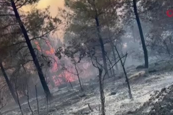 Bursa'da yangın büyüyor: Balıkesir'e sıçradı