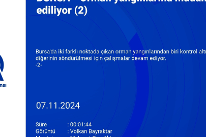 Bursa ile Balıkesir il sınırında çıkan orman yangını kontrol altına alındı