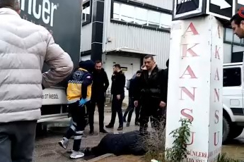 Bursa'da kamyonetin çarptığı kadın yaralandı