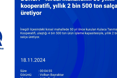 Bursa'daki kırsal mahallenin 50 yıllık kooperatifi yıllık 2 bin 500 ton salça üretiyor