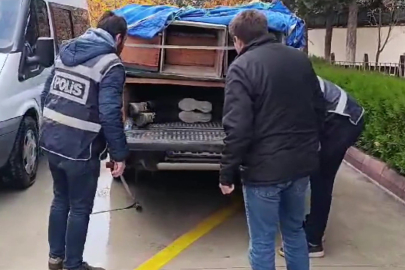 Amasya'da arı kovanlarının altından 4 kaçak göçmen çıktı