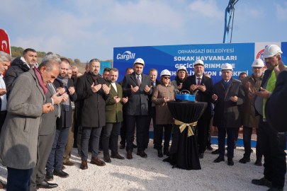 Bursa Orhangazi Belediyesi’nden sokak hayvanlarına yeni bir yuva!