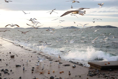 Marmara ve Kuzey Ege'de lodos etkili olacak