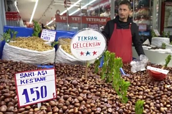 Bursa'da pazarda Çin kestanesinin yerini yerli kestane aldı