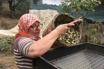 Günlük 3 bin liraya alışacak işçi bulamıyorlar!