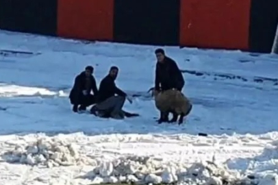 Bursa ekibinin maçında şoke eden olay! Kale arkasında kurban kestiler