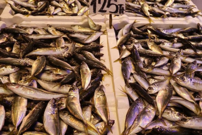 Hamsiye yoğun ilgi! Kilosu 100 lira olmasına rağmen...