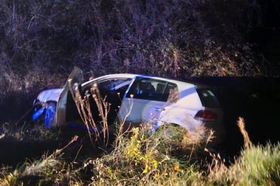 Zonguldak'ta yola aniden çıkan domuza çarpan otomobil şarampole uçtu