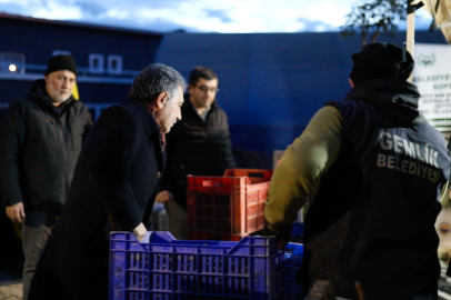 Bursa Gemlik Belediyesi'den zeytin üreticisine 3 milyon TL'lik destek