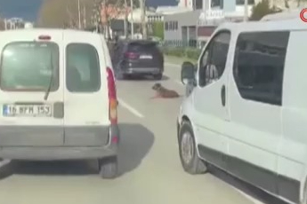 Bursa'da köpeğin keyfi trafiğe kilitledi