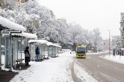 Ve Bursa'ya kar geliyor! Uzman isim tarih verdi