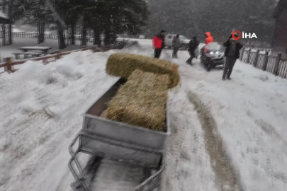 Bursa Uludağ'da yaban hayvanları için doğaya yem bırakıldı