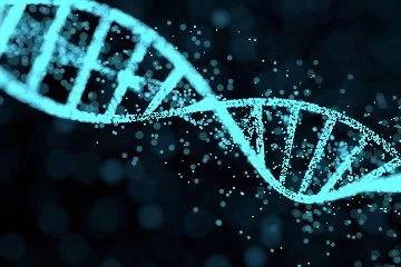 3 kardeş yaklaşık 70 yıl sonra DNA eşleşmesiyle kavuştu