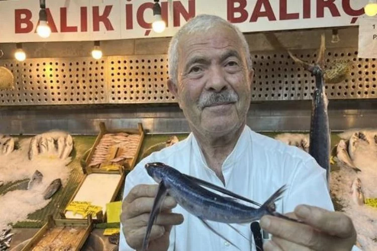 Marmara Denizi'nde uçan balık yakalandı: Türkiye Deniz Canlıları Müzesi'ne eklenecek