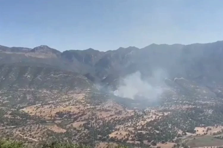 PKK'lı teröristler Irak'ın kuzeyinde saklanmak için ormanları ateşe veriyor